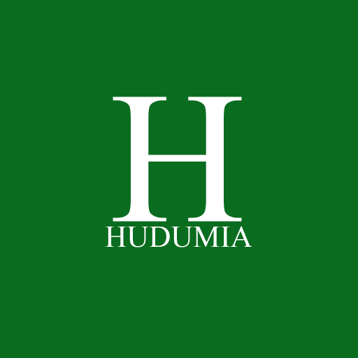 Hudumia Provider - Google Play 앱