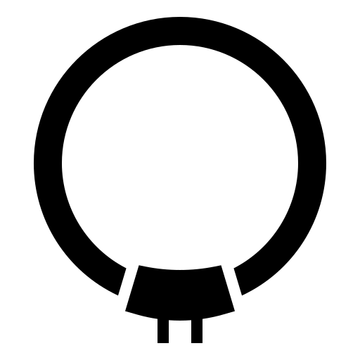 Ring Light Cam logo