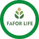 Fafor Life Tải xuống trên Windows