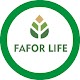 Fafor Life Tải xuống trên Windows