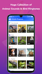 Animal Sounds Ringtone Maker APK for Android Download 2