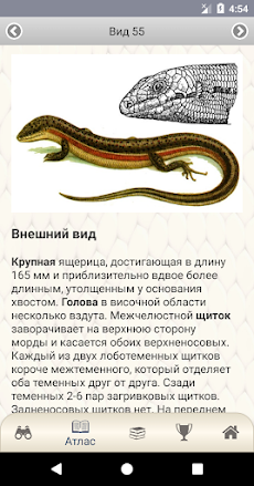 ЭкоГид: Рептилииのおすすめ画像5
