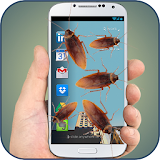 Cockroach in Phone Prank icon