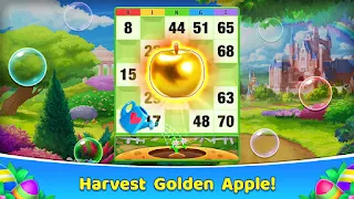 Bingo 365 - Offline Bingo Game - Screenshot 2