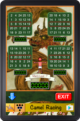 Bingo Pinball Dragon