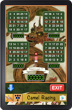 Bingo Pinball Dragon Apps On Google Play