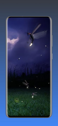 Fireflies 4K Wallpaper HD