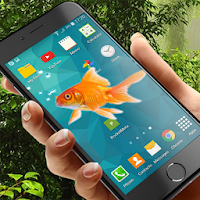 Fishes in phone prank!