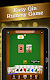 screenshot of Gin Rummy Classic