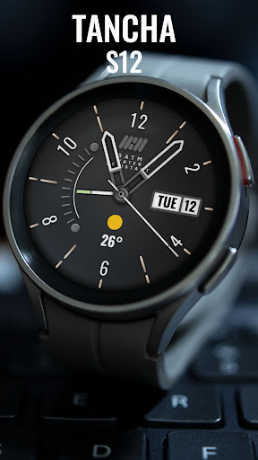 Tancha S12 Analog Watch Face Screen 3