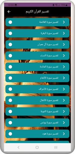 القرآن الكريم مع التفسير Screen 3