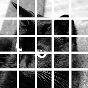 Cat Picture Making Puzzle