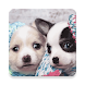 Cute Puppy HD Wallpaper - Androidアプリ