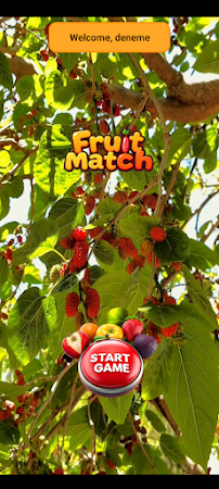Game screenshot Fruit Match mod apk