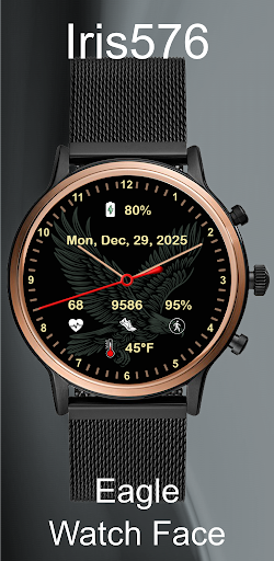 Iris576 Eagle Theme Watch Face screenshot 3