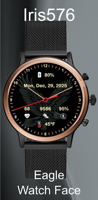 Iris576 Eagle Theme Watch Face screenshot 3