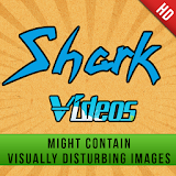 Shark Videos in HD icon