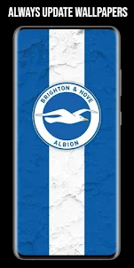 Brighton & Hove FC Wallpaper