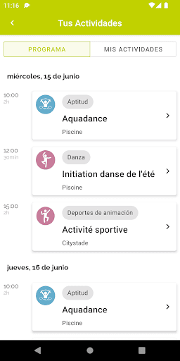Vista previa de la aplicación