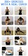 screenshot of Home Workout: Fitness No Tools