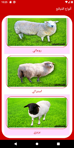 أضواء المشاعر لبيع وتوصيل الذب Screen 3