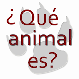 Animal riddles in spanish icon
