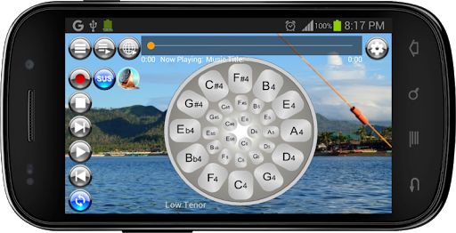 Musical Steel Drums Screen 2
