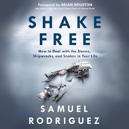 Icon image Shake Free: How to Deal with the Storms, Shipwrecks, and Snakes in Your Life
