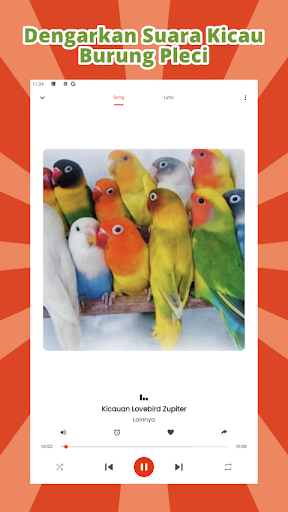 Kicau Burung Lovebird Mp3