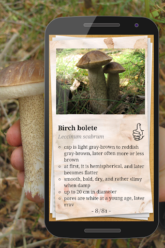 The Mushroom Book Screen 2