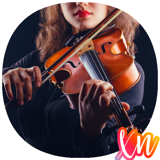 Beginner Violin Lessons Guide logo