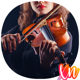 Icon image Beginner Violin Lessons Guide