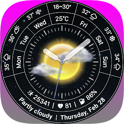 Icon image nbWatch Weather Pro WFF