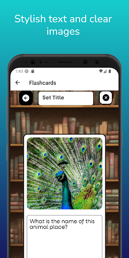 NoCram Screen 3