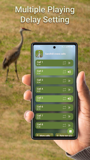 Crane Hunting Calls Screen 2