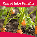 Cover Image of Baixar Carrot Juice Benefits 1.0 APK