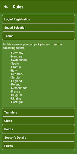 Fantastic Five: Euro 2024 Screen 2