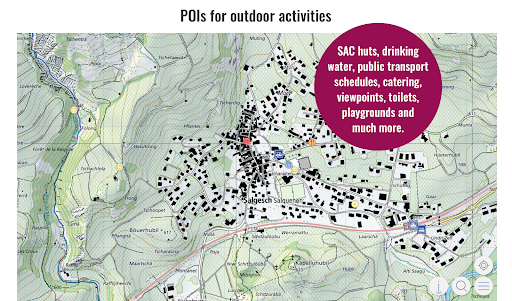 Swiss Pro Map screenshot 9