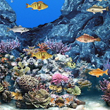 Abubu ocean live wallpaper icon