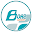 Boaz Smart Download on Windows