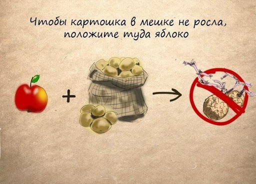 Полезные советы Screen 2