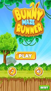 Bunny Maze Runner Unknown