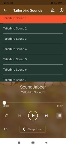 Tailorbird Sounds Screen 3
