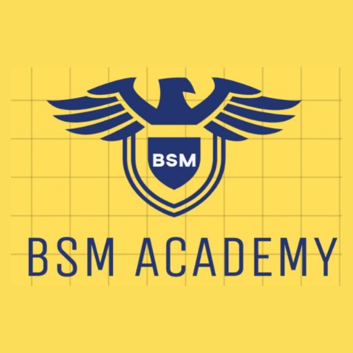 BSM ACADEMY logo