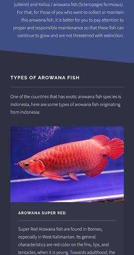 Arowana Fish - Care, Guide Screen 3