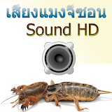 เสียงจีซอนร้อง HD icon