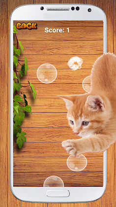 Cat Game - Bubble Pop - Screenshot 2