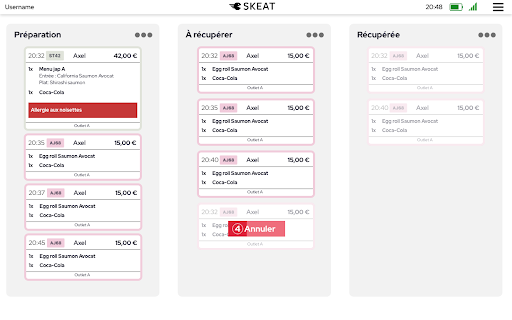 SKEAT Companion Screen 2