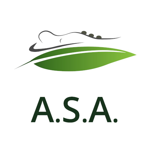 ASA Vittoria logo