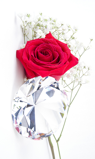 Diamond Rose HD Wallpapers